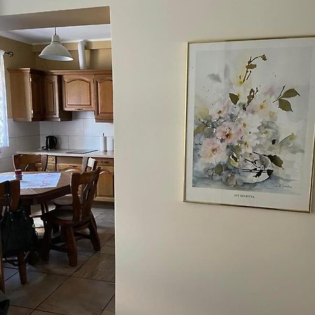 Apartamenty Jaskinia Solna Руда Шльонска Екстериор снимка