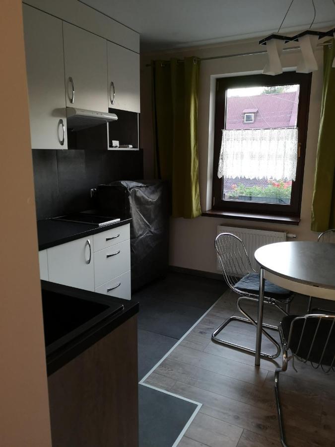 Apartamenty Jaskinia Solna Руда Шльонска Екстериор снимка