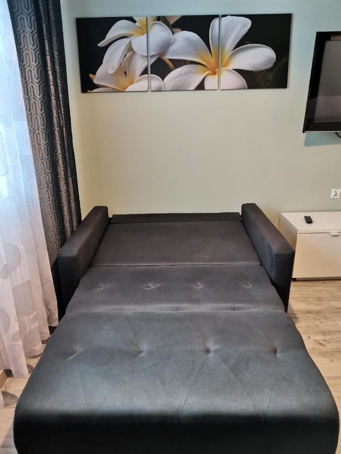 Apartamenty Jaskinia Solna Руда Шльонска Екстериор снимка